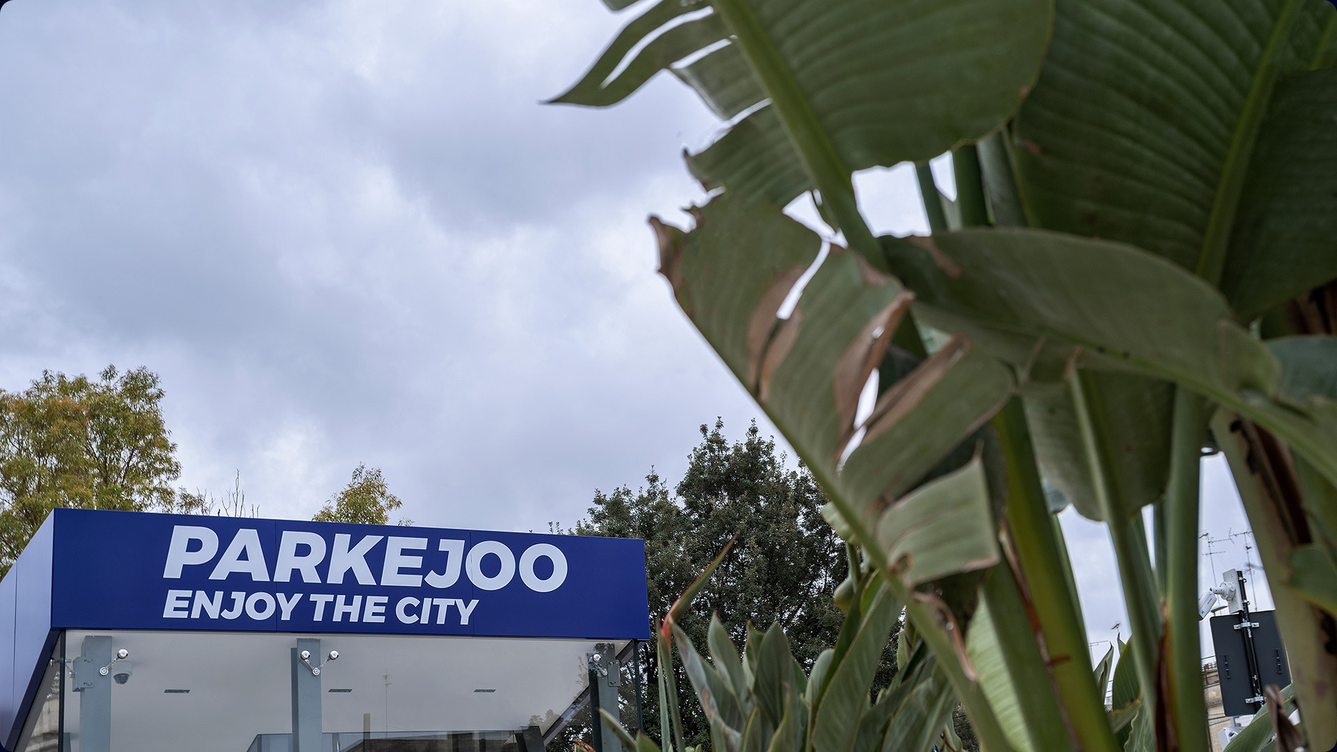 parkejoo-gallery-013